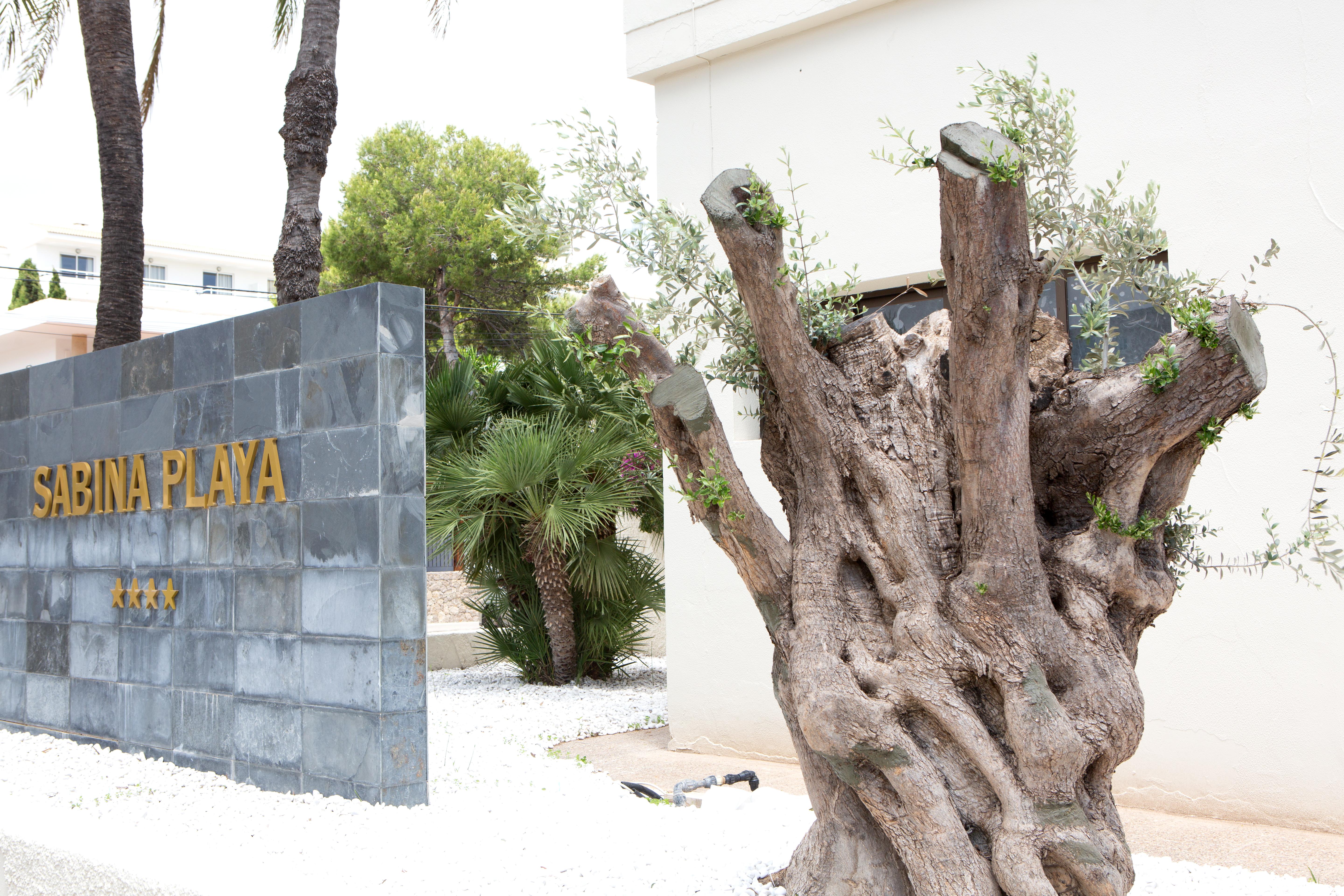 Hotel Sabina Playa (Adults Only) Cala Millor  Exterior photo